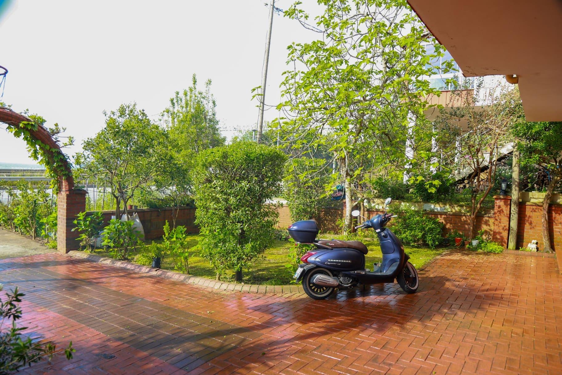Bahçe & meyve ağaçları — Mandalina, limon, portakal — mevsiminde çilek